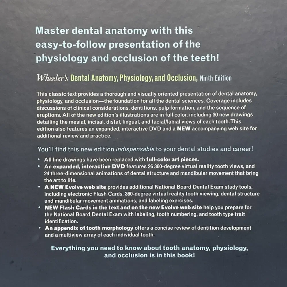 dental wheeler anatomy